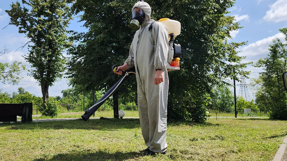 Фото: МедиаБанк Подмосковья/Валерия Тингаева