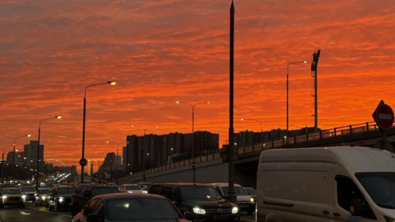 REGIONS/Дарина Левкина