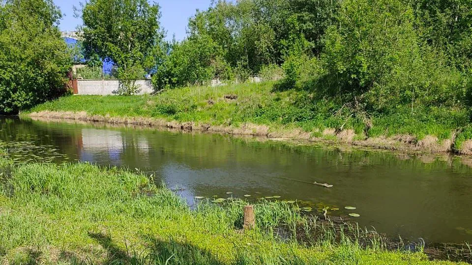 Фото: пресс-служба администрации г.о. Пушкинский