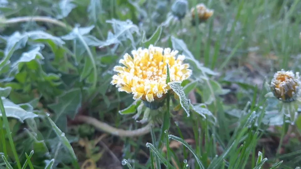 Фото: Медиаархив Подмосковья