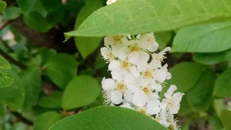 Фото: Елена Быховская