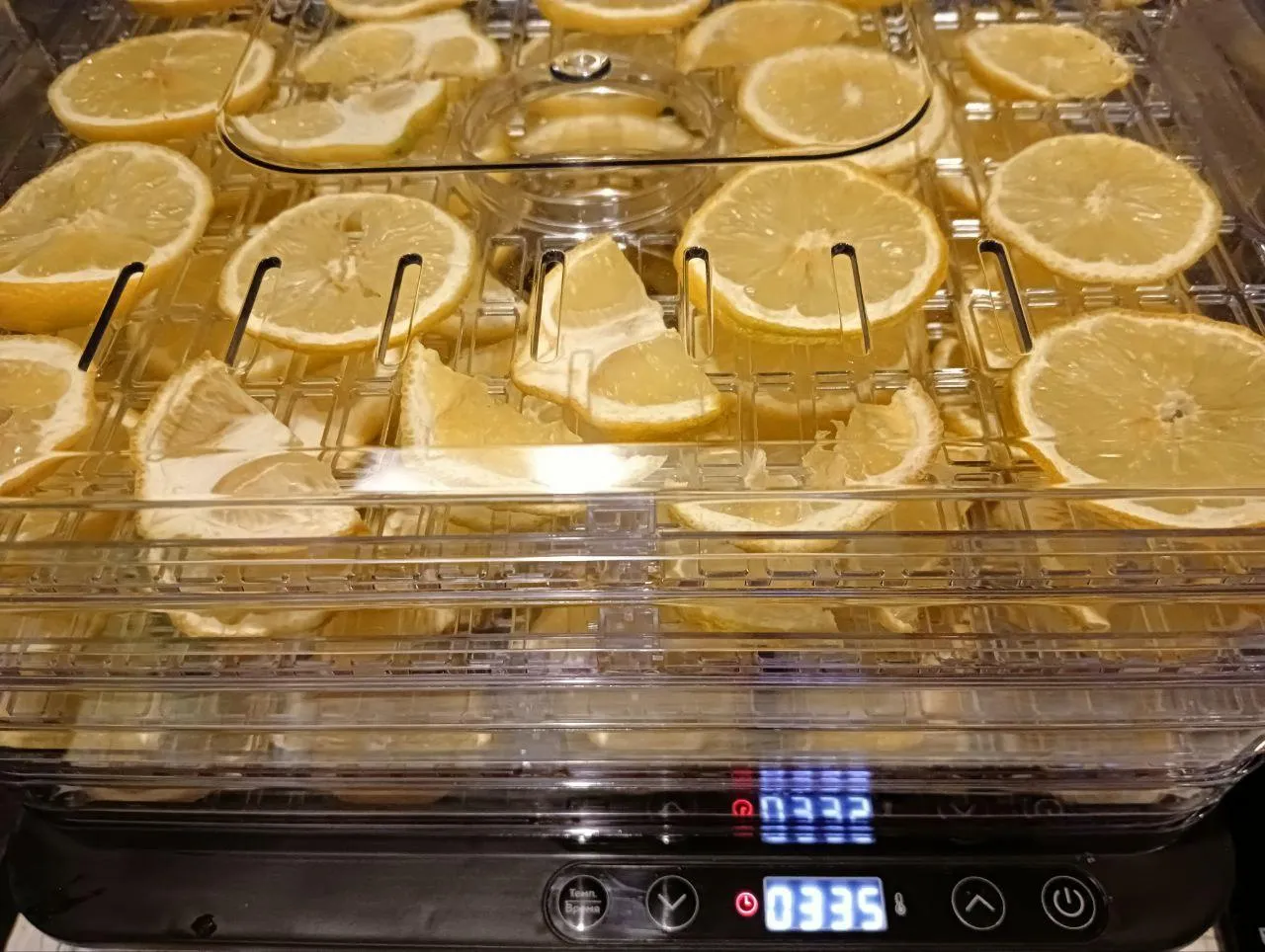 фото: из архива Дома молодежи