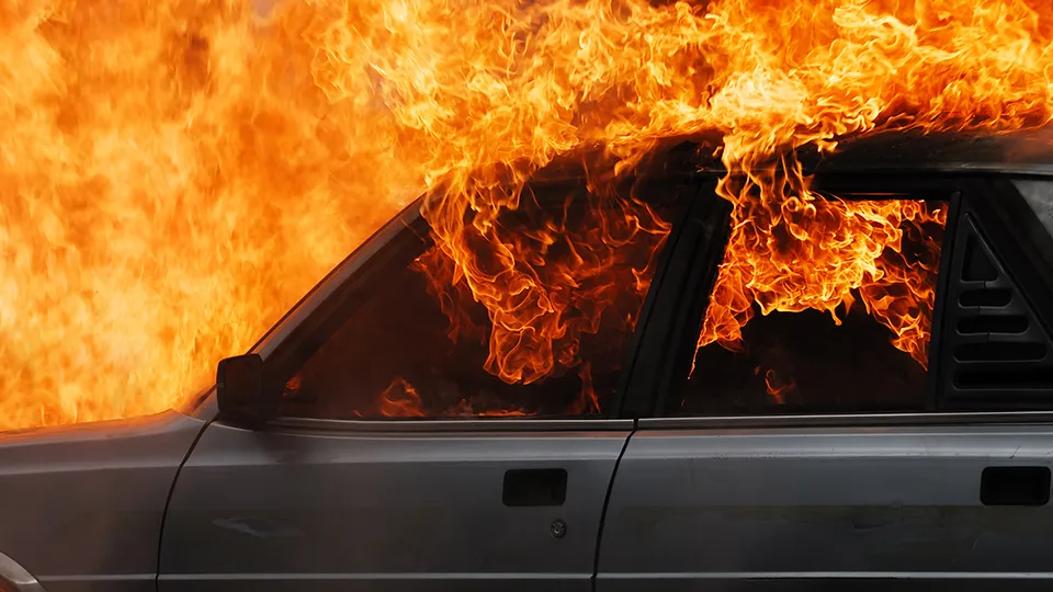 Фото: istockphoto.com