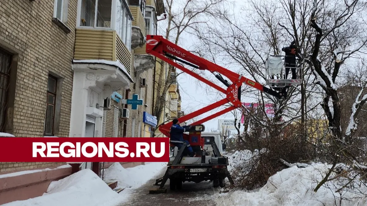 Фото: Нина Басистая