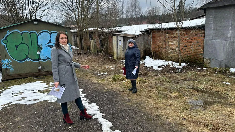 Фото: Администрация муниципального округа Шаховская