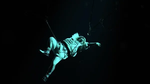 Акробат Cirque du Soleil погиб во время выступления в США