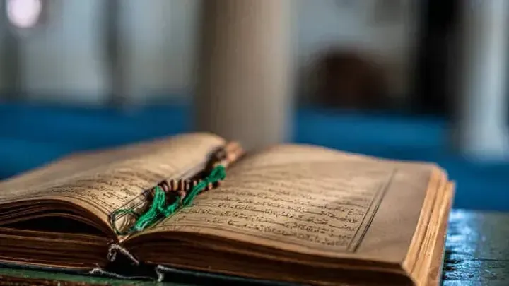 Группировка радикалов сожгла второй раз за день Коран в Копенгагене