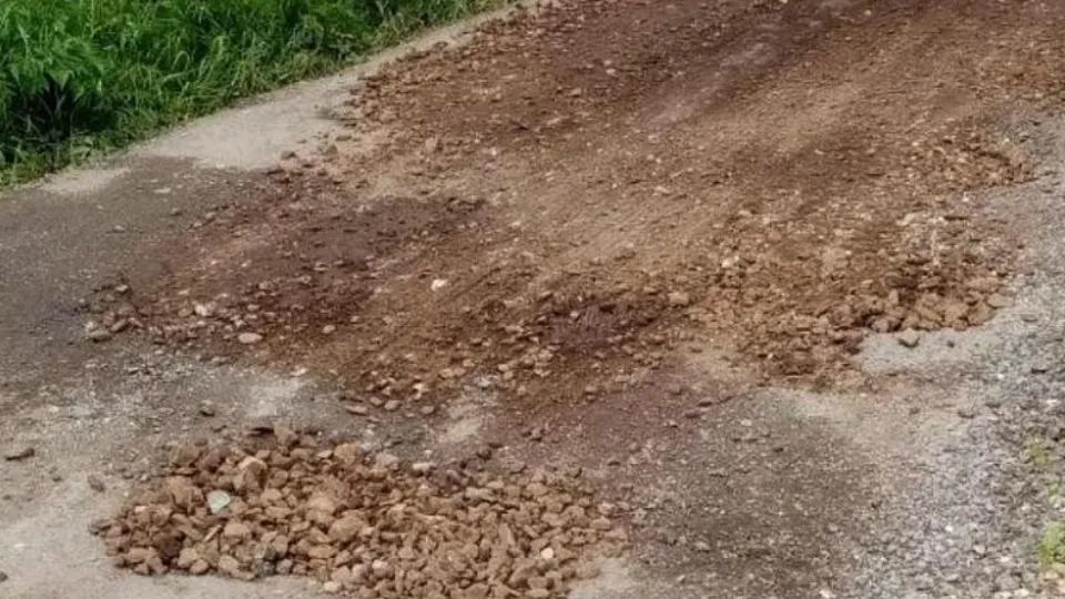 Фото: Министерство экологии и природопользования Московской области