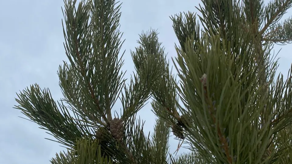 Фото: REGIONS/Мария Толстикова