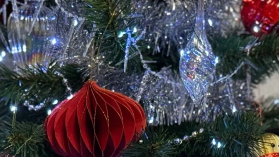 Фото: REGIONS/Дарина Левкина