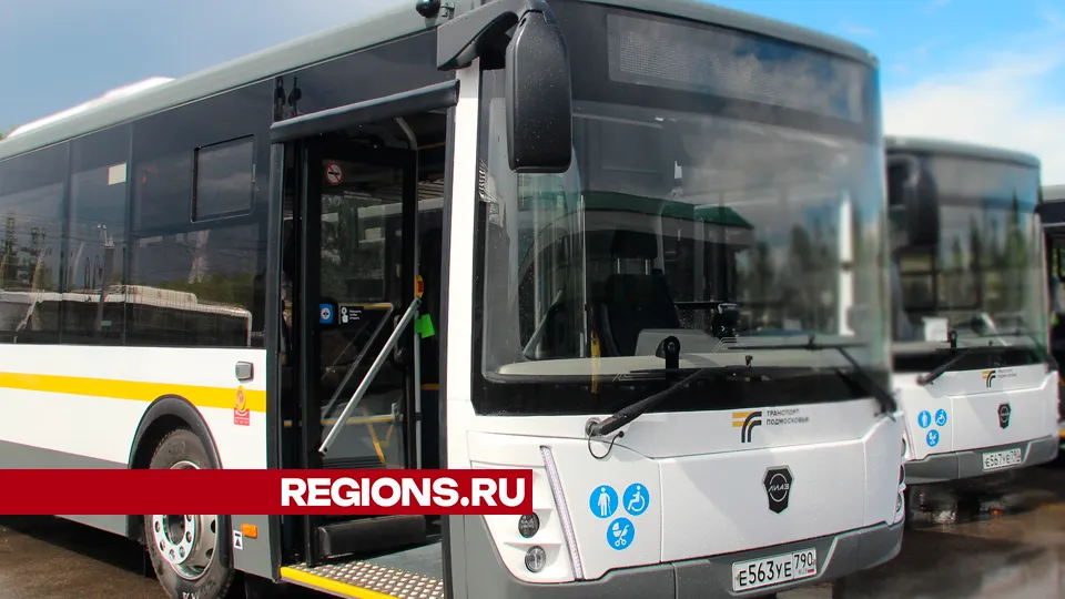 Фото: REGIONS/Василий Тремасов