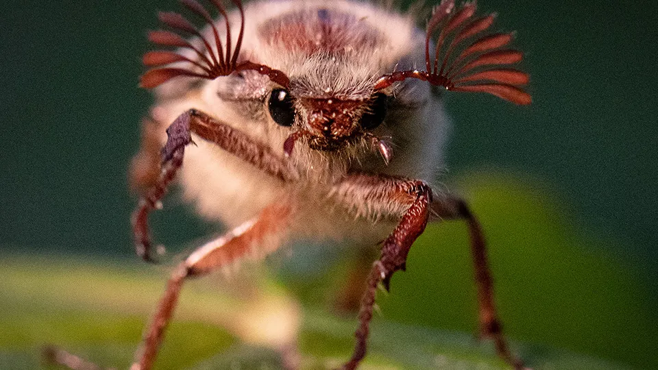 Фото: ТАСС/dpa/picture-alliance/Boris Roessler