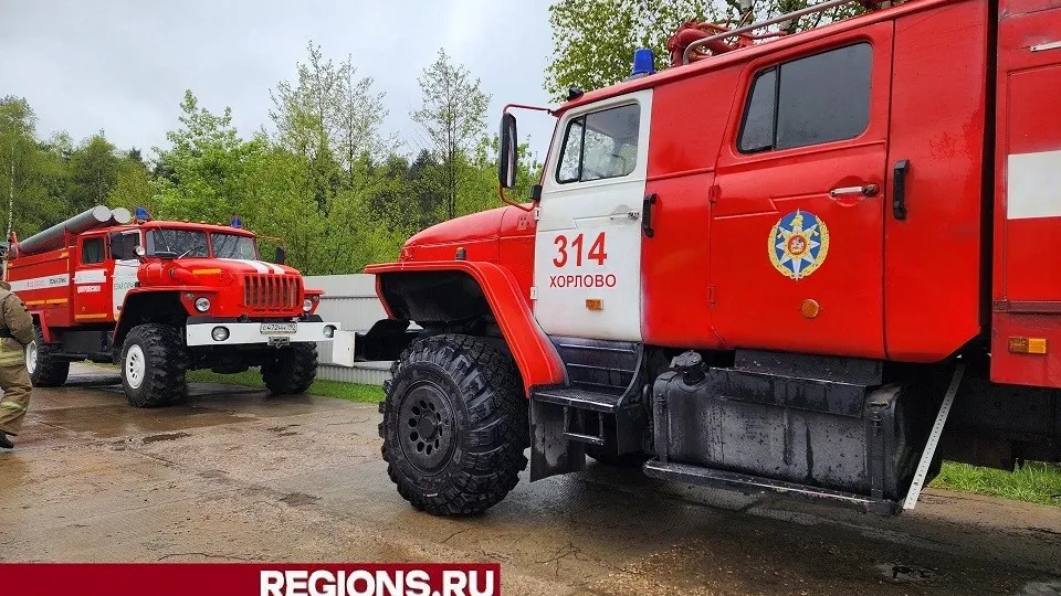 Фото: Светлана Плотникова