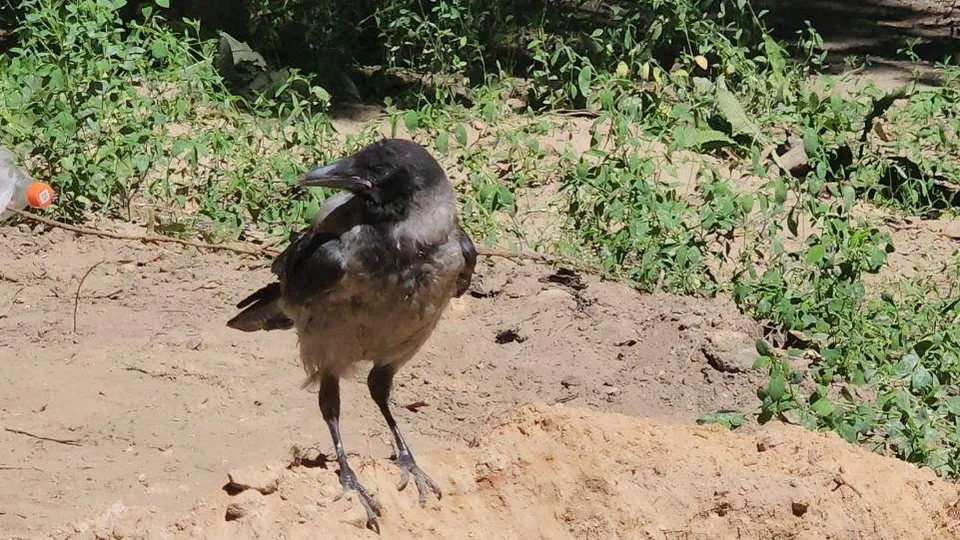 Фото: Наталья Лымарь