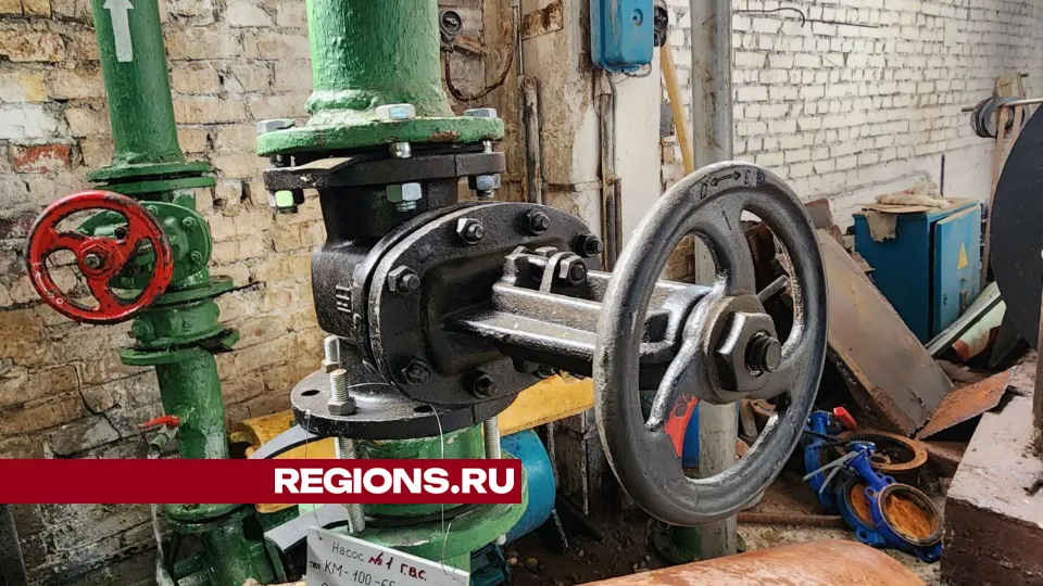 Фото: Елена Лабзина