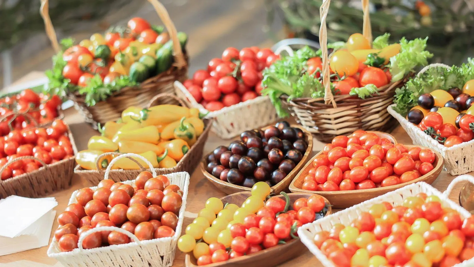 медиасток.рф