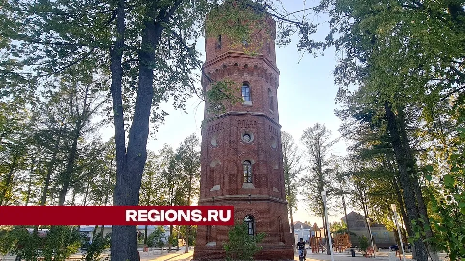 Фото: REGIONS/Александр Дрожжин