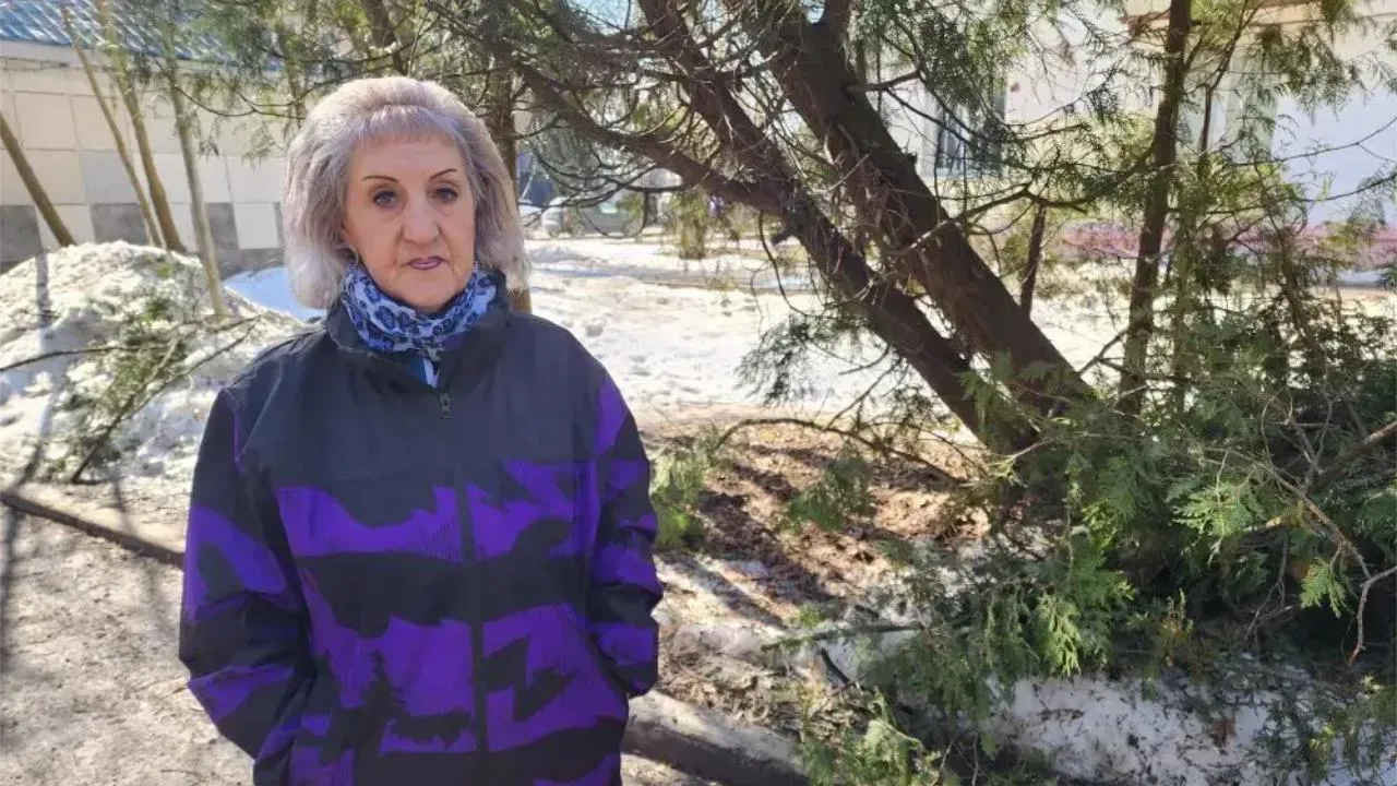 МедиаБанк Подмосковья/Ирина Кузова