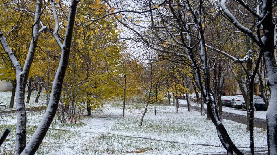 Фото: медиасток.рф