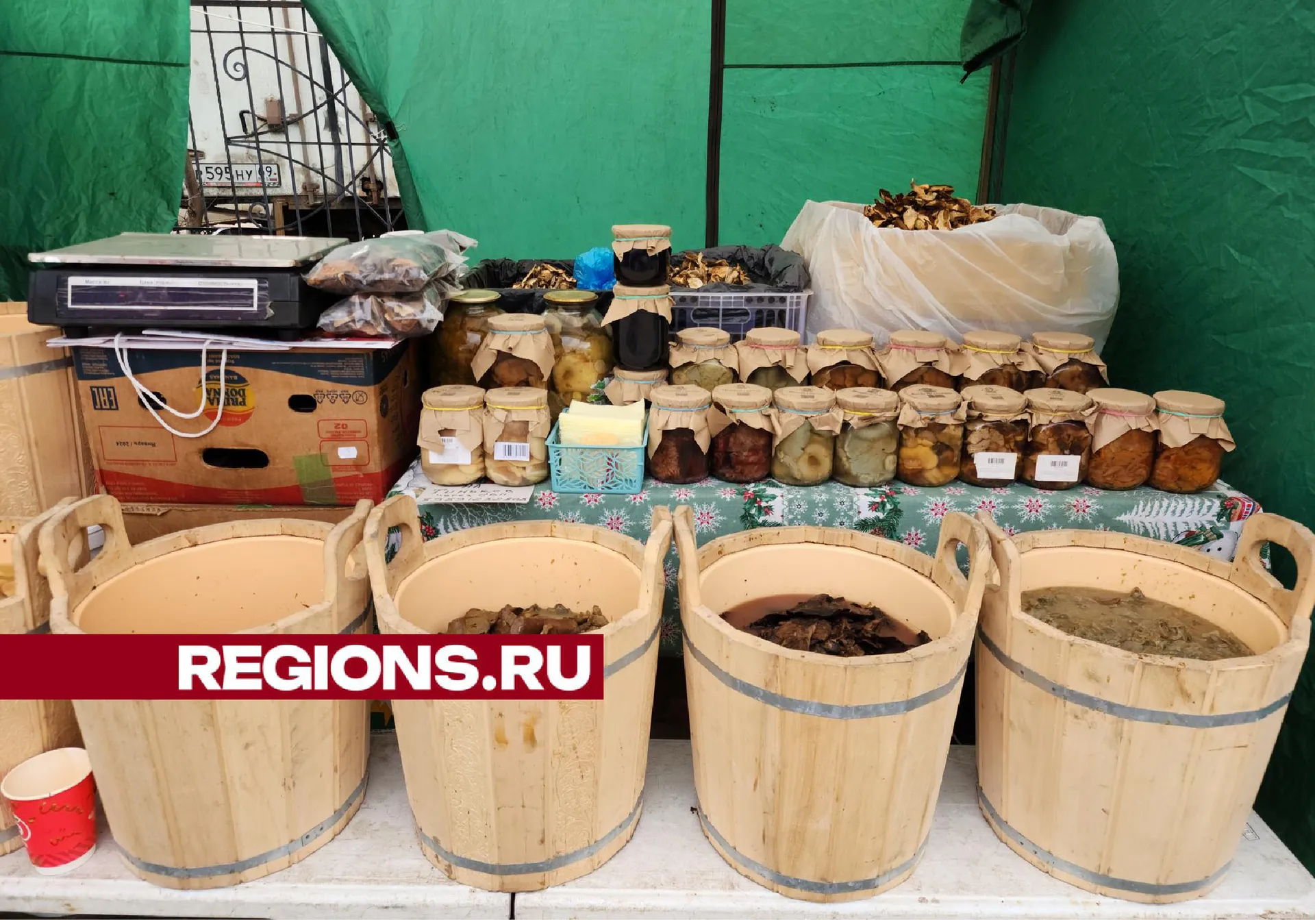 Фото: Хавива Фонина