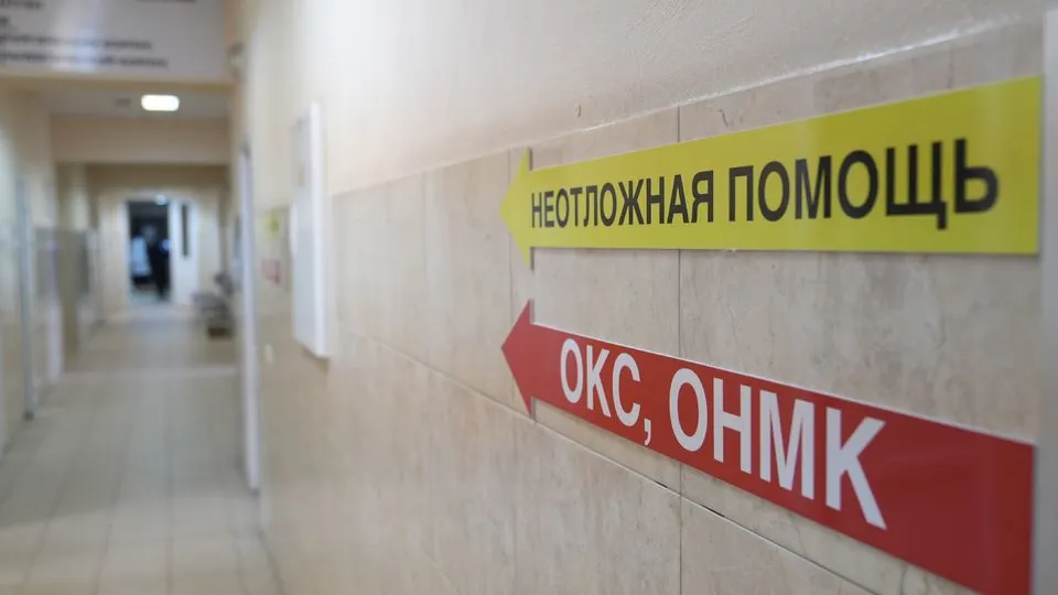 Фото: пресс-служба правительства и губернатора Московской области/Александра Степанова