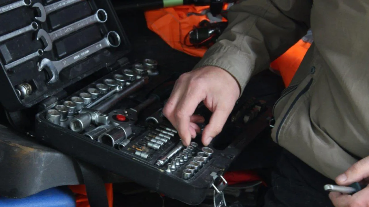 REGIONS/Анастасия Широкая