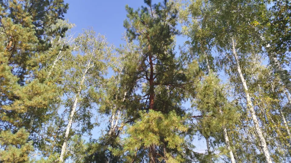 Фото: Юлия Куделькина