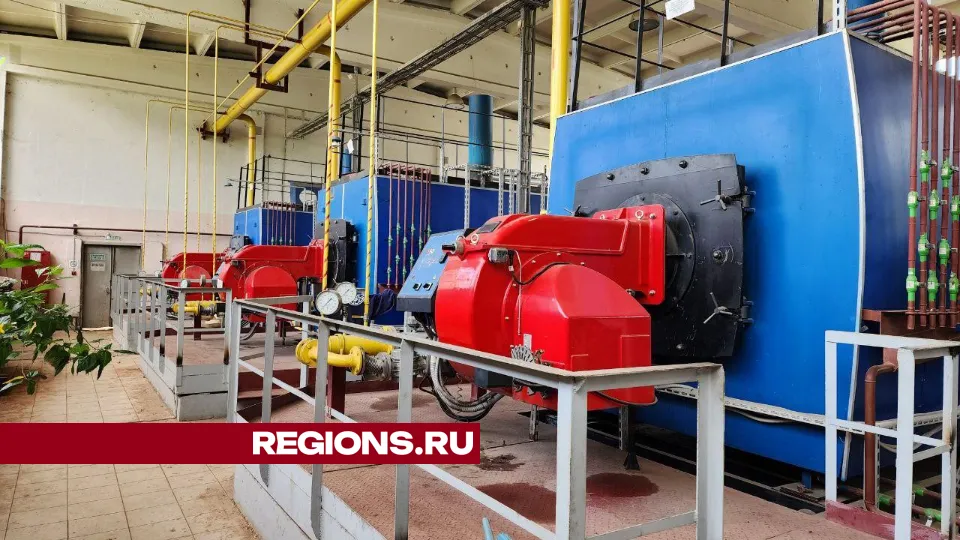 Фото: Елена Лабзина