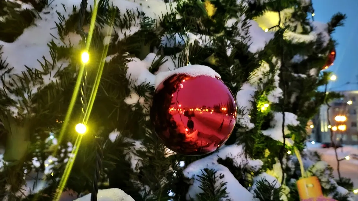 Фото: REGIONS/Алексей Селиверстов