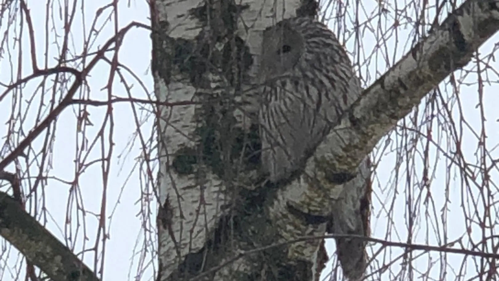 Фото: Подслушано | Истра / ВКонтакте