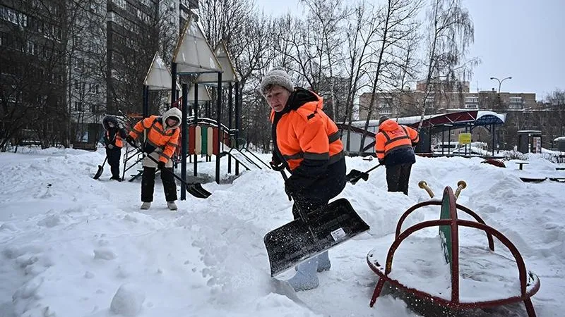 Подметал двор и стал футбольным тренером. Подмосковные дворники рассказали о работе