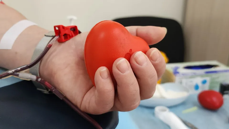 Фото: МедиаБанк Подмосковья/Фельдфебелева Ольга