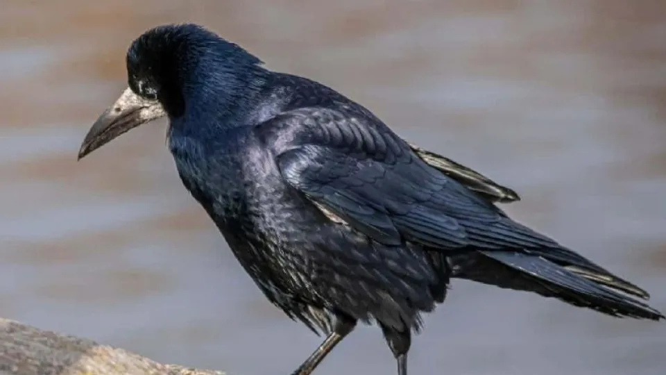 Фото: Е. Селиверстова