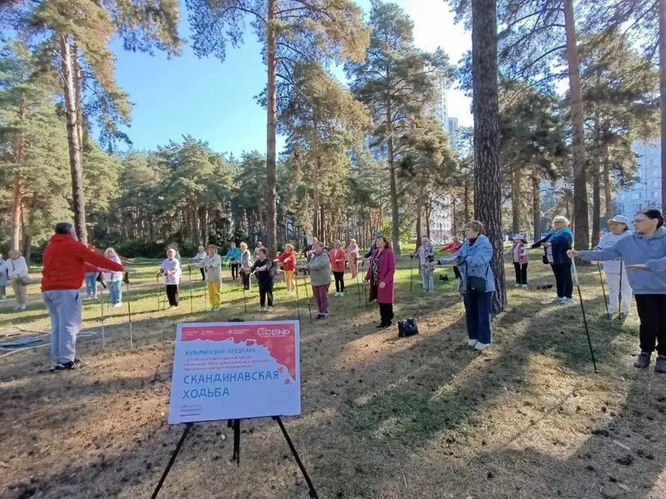 Фото: t.me/kuz_les