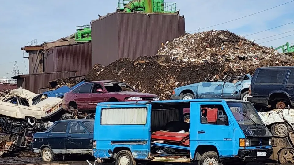 Фото: МедиаБанк Подмосковья/Наталья Лымарь