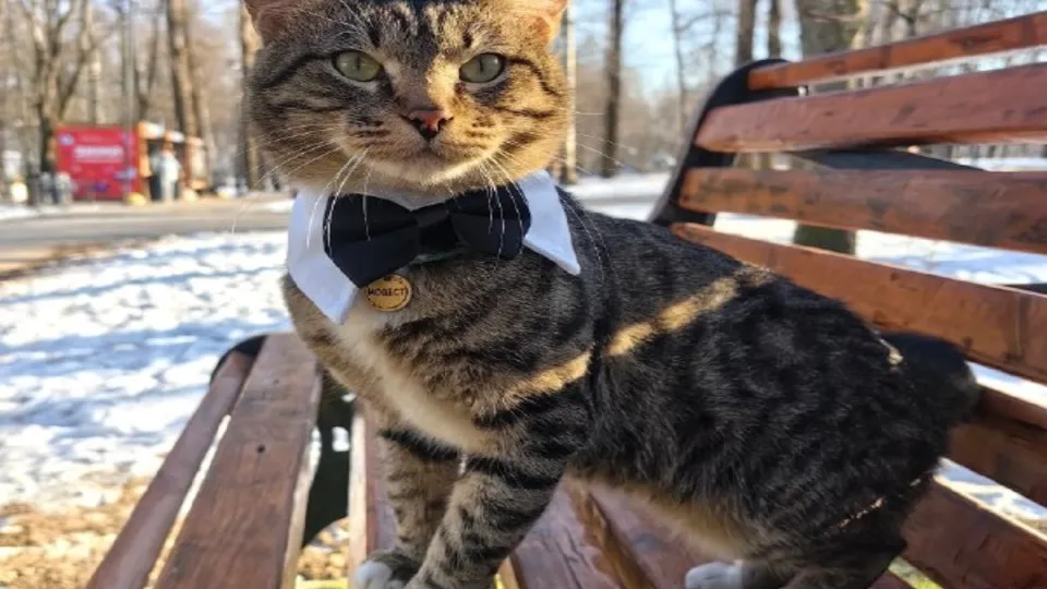 Фото: администрация г.о.Клин