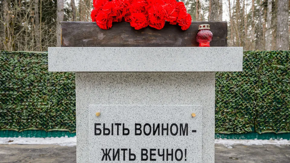 Фото: медиасток.рф