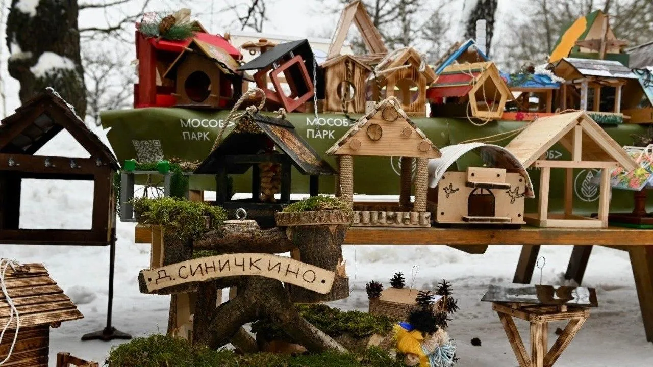 Центр культуры и досуга «Факел» СП «Фрязинский лесопарк»