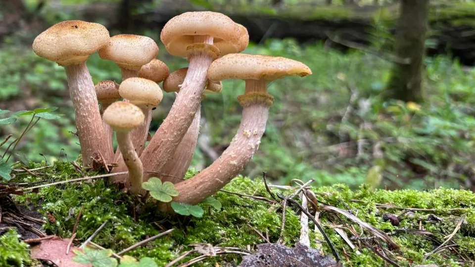 Фото: Алена Мельникова