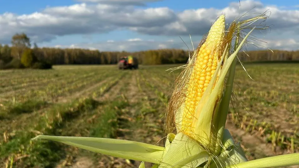 фото: Кирилл Колчин / vk.com
