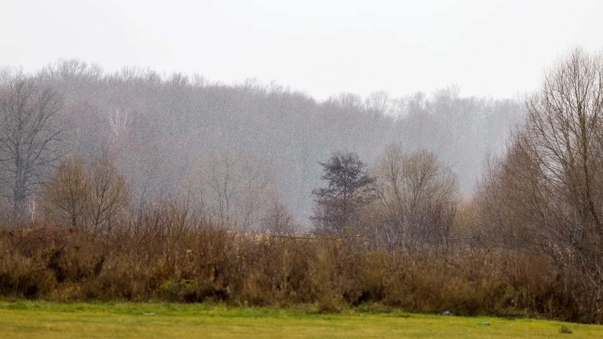 Фото: Владимир Лебедев