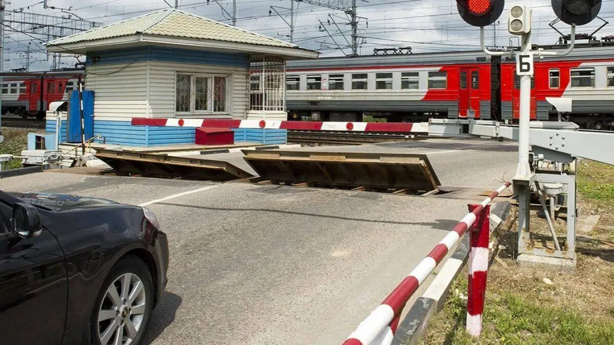 Фото: пресс-служба администрации г.о. Шатура