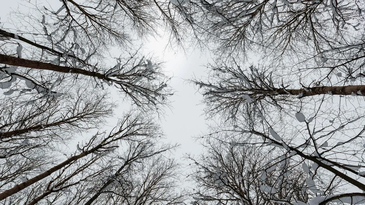 медиасток.рф