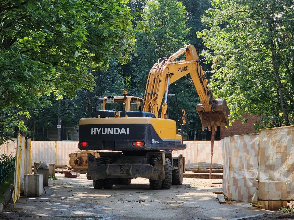 Фото: Хавива Фонина