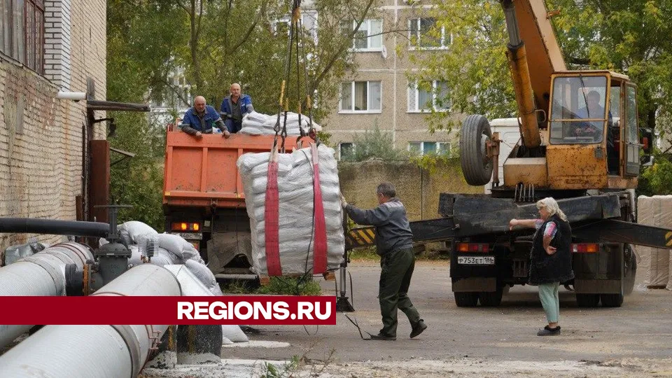 Фото: Светлана Плотникова