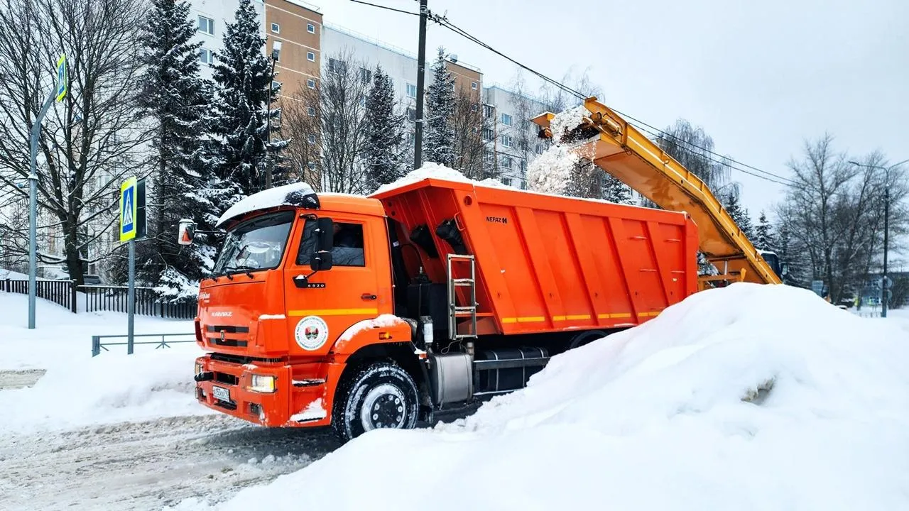 REGIONS/Мария Панина