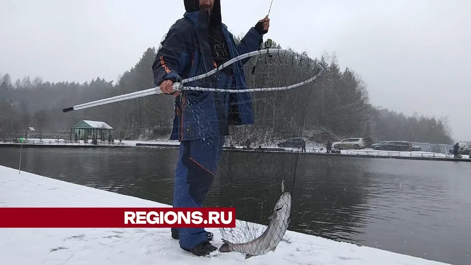 Фото: Никита Сморкалов