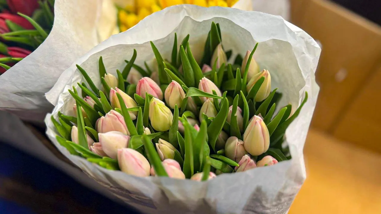 REGIONS/Дарина Левкина