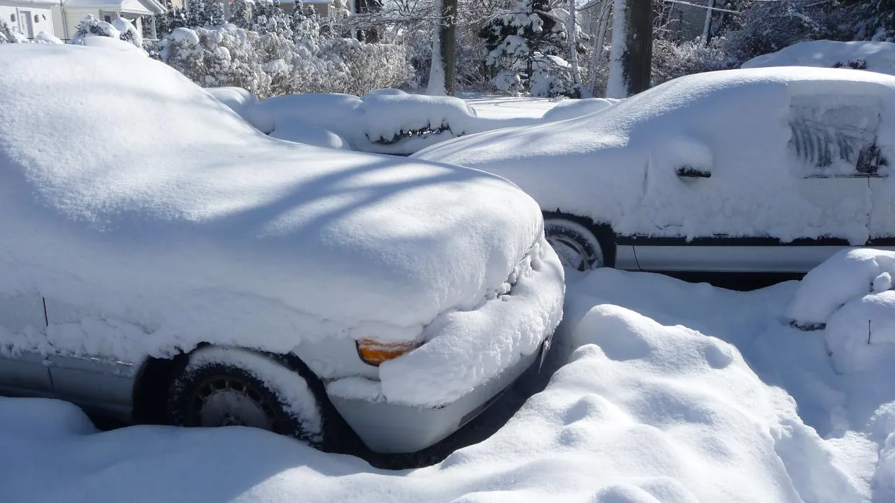 istockphoto.com/tatianatatiana