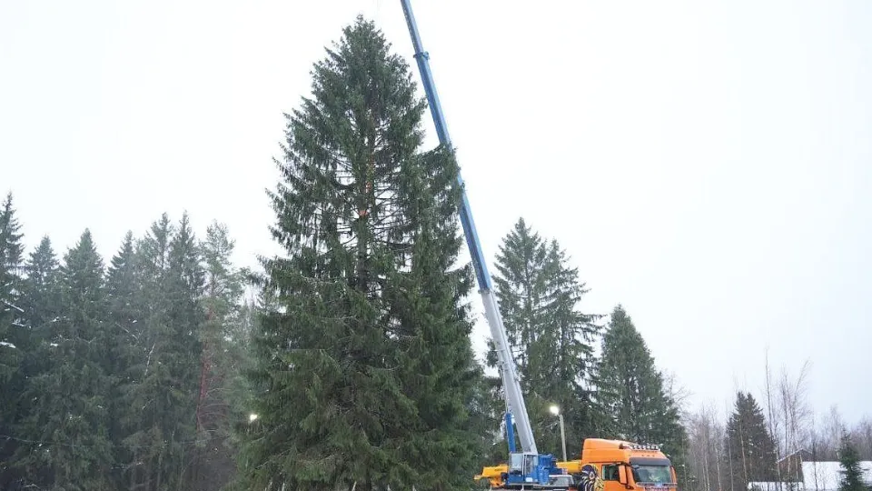 Фото: t.me/Press_MO (архив 2022)